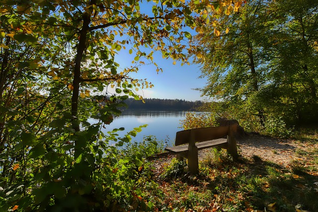 话中提到的 话中提到的