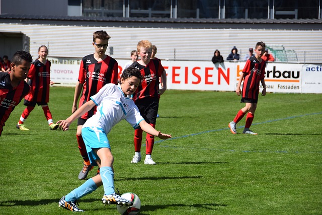 职业生涯的 职业生涯的