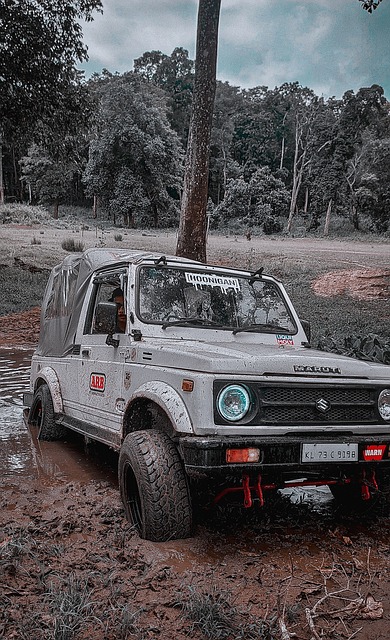 中國籃球的 中國籃球的