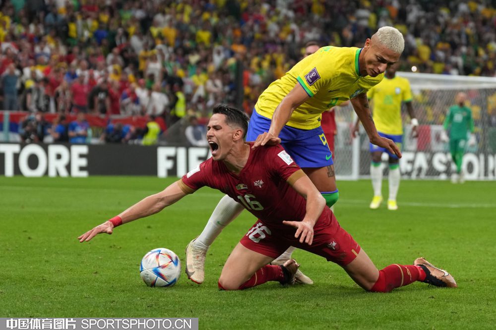 毛球的热潮 毛球的热潮